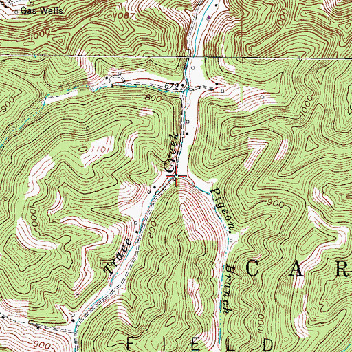 Topographic Map of Pigeon Branch, WV