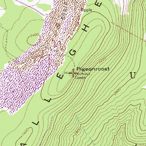 Topographic Map of Pigeonroost, WV
