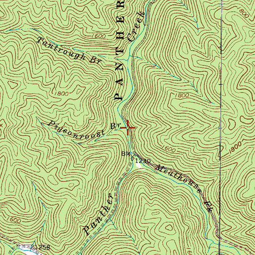 Topographic Map of Pigeonroost Branch, WV