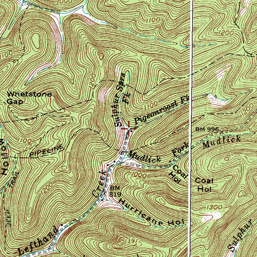 Topographic Map of Pigeonroost Fork, WV