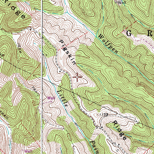 Topographic Map of Pigskin Ridge, WV