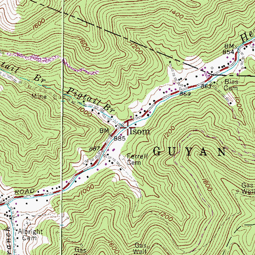 Topographic Map of Pigtail Branch, WV