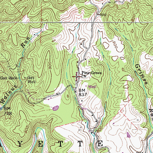 Topographic Map of Pine Grove Church, WV