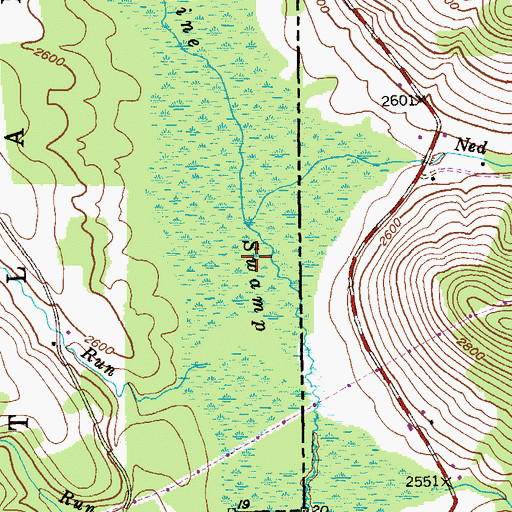 Topographic Map of Pine Swamp, WV