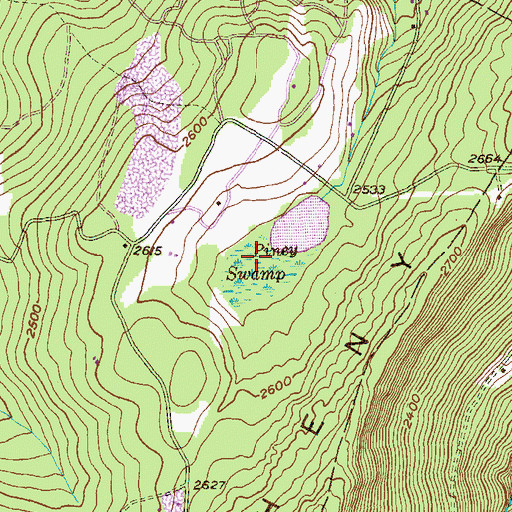 Topographic Map of Piney Swamp, WV