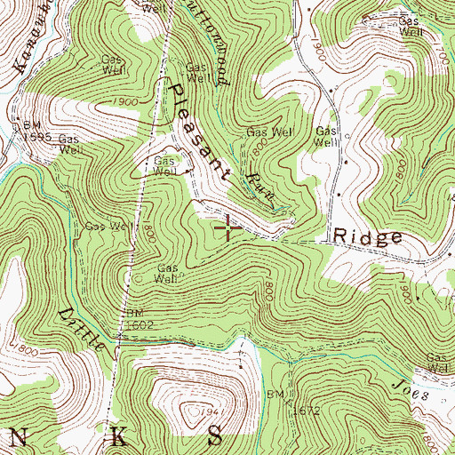 Topographic Map of Pleasant Ridge, WV