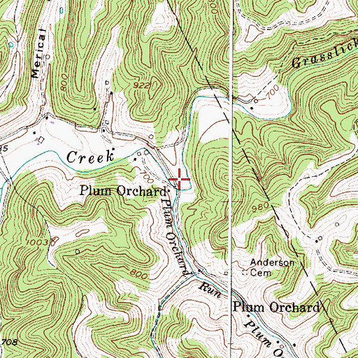 Topographic Map of Plum Orchard Run, WV