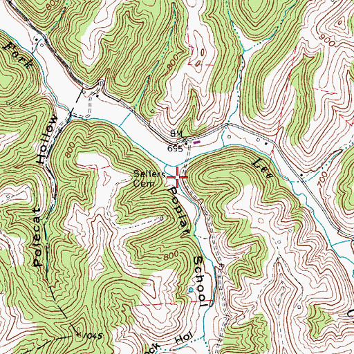Topographic Map of Poplar School Hollow, WV