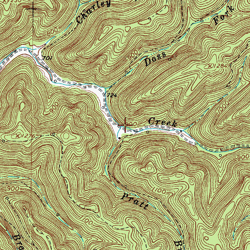 Topographic Map of Pratt Branch, WV