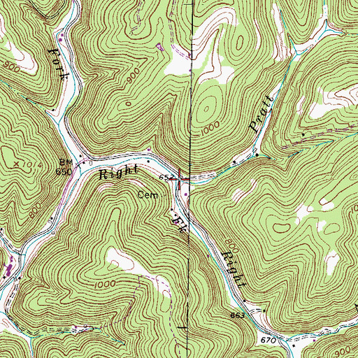 Topographic Map of Pratt Branch, WV