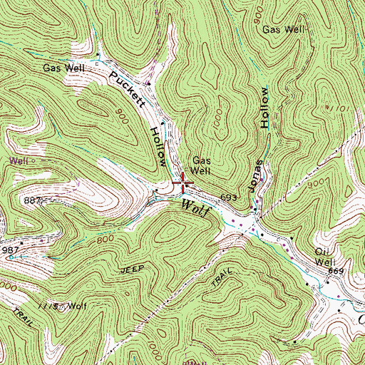 Topographic Map of Puckett Hollow, WV