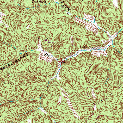 Topographic Map of Puncheoncamp Branch, WV