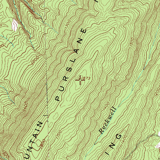 Topographic Map of Purslane Mountain, WV