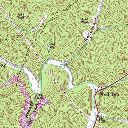 Topographic Map of Raccoon Branch, WV