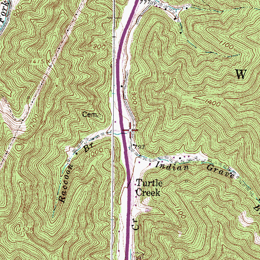 Topographic Map of Raccoon Branch, WV