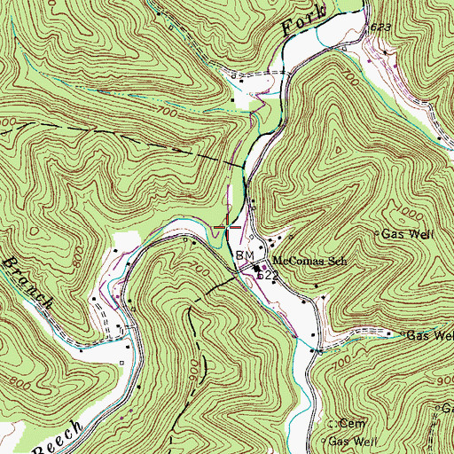 Topographic Map of Raccoon Creek, WV