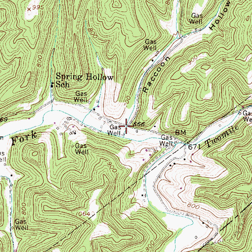 Topographic Map of Raccoon Hollow, WV