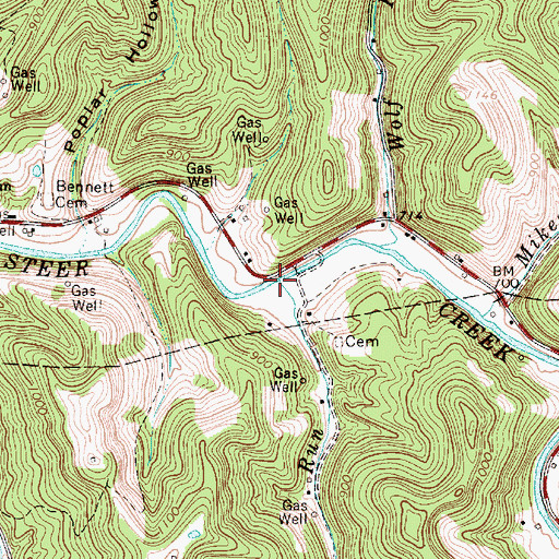 Topographic Map of Raccoon Run, WV