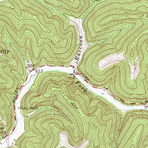 Topographic Map of Raccoon Run, WV