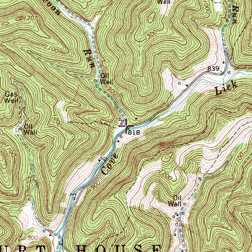 Topographic Map of Raccoon Run, WV