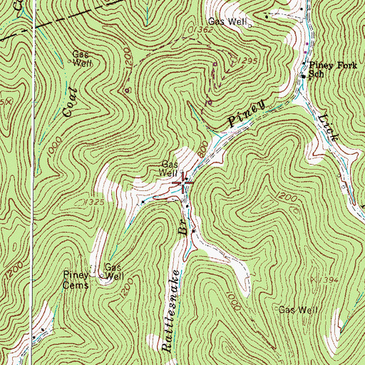 Topographic Map of Rattlesnake Branch, WV