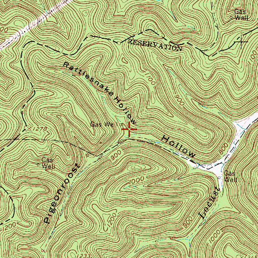 Topographic Map of Rattlesnake Hollow, WV