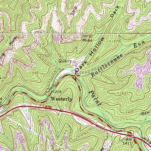Topographic Map of Rattlesnake Run, WV