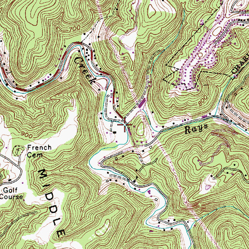 Topographic Map of Rays Branch, WV