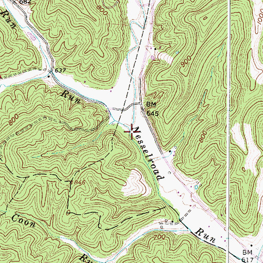 Topographic Map of Redbush Run, WV
