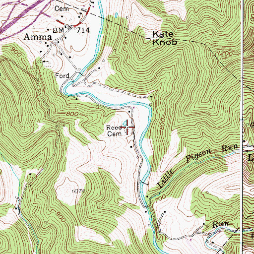 Topographic Map of Reed Cemetery, WV