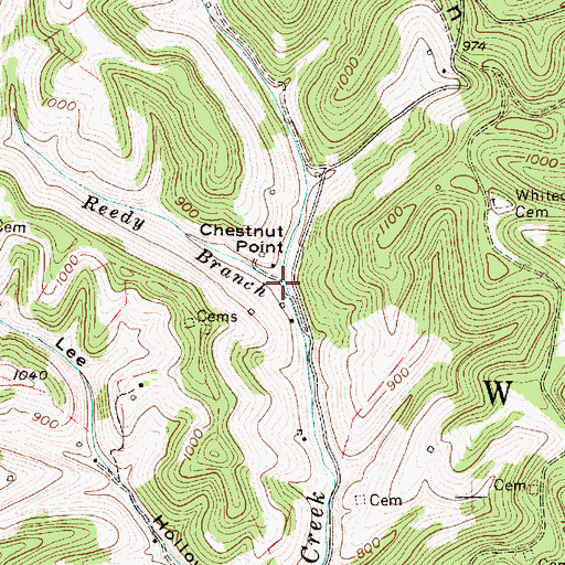 Topographic Map of Reedy Branch, WV