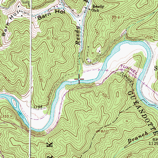 Topographic Map of Reedy Branch, WV