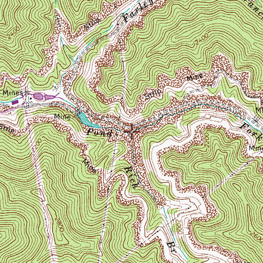 Topographic Map of Rich Branch, WV