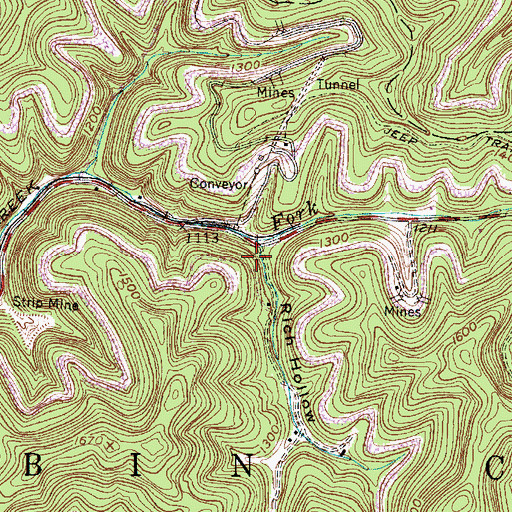 Topographic Map of Rich Hollow, WV
