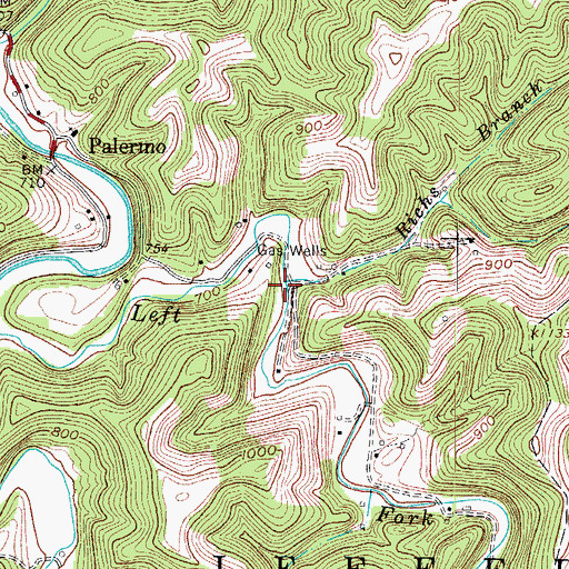 Topographic Map of Richs Branch, WV
