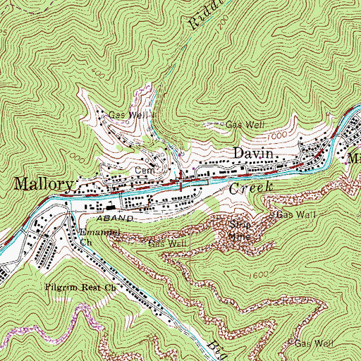 Topographic Map of Riddle Branch, WV