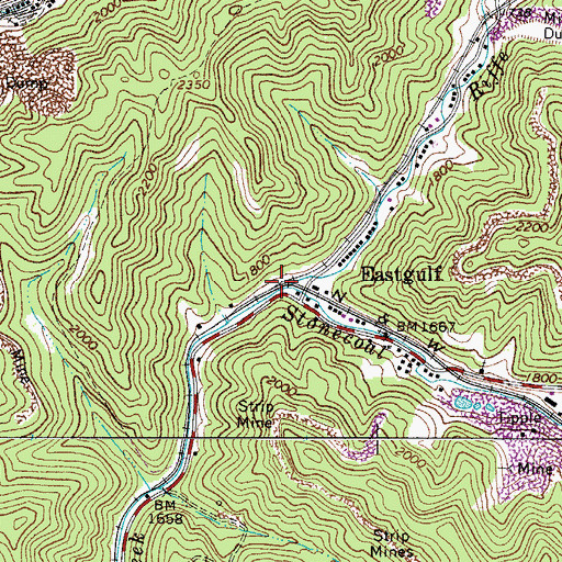 Topographic Map of Riffe Branch, WV