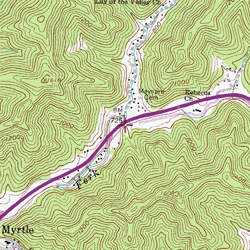 Topographic Map of Riffe Branch, WV