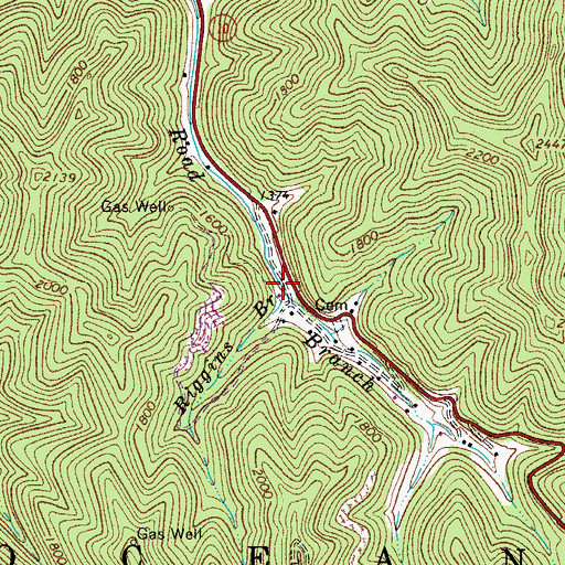 Topographic Map of Riggins Branch, WV
