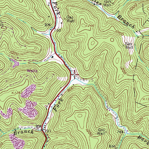 Topographic Map of Right Fork Moses Fork, WV