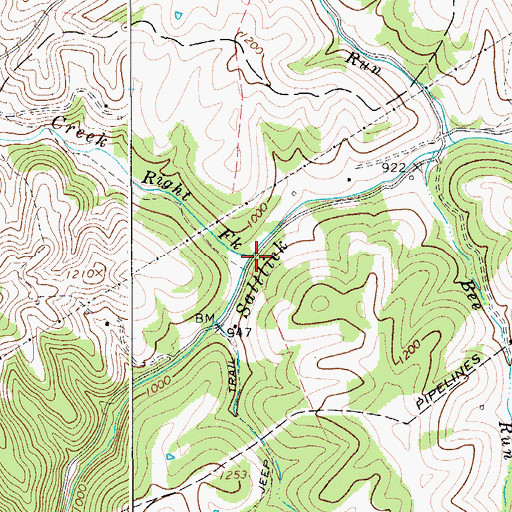 Topographic Map of Right Fork Saltlick Creek, WV