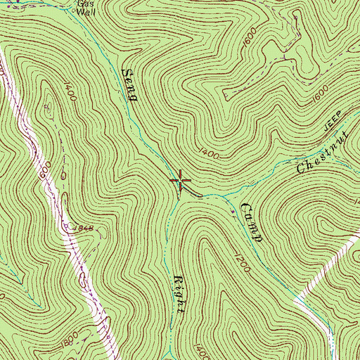 Topographic Map of Right Fork Seng Camp Creek, WV