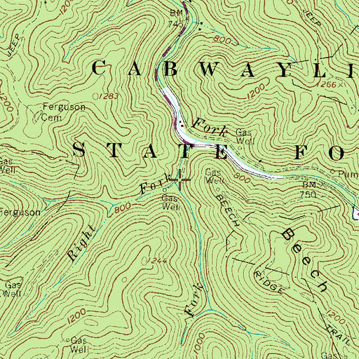 Topographic Map of Right Fork Spruce Fork, WV