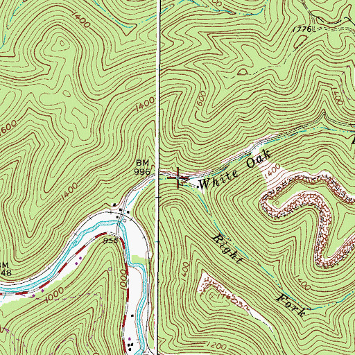 Topographic Map of Right Fork White Oak Branch, WV