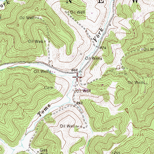Topographic Map of Right Hand Fork Little Toms Fork, WV