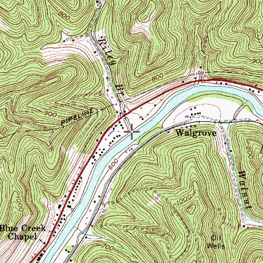 Topographic Map of Riley Branch, WV