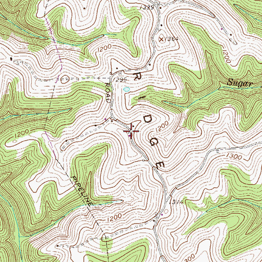 Topographic Map of Rines Ridge, WV