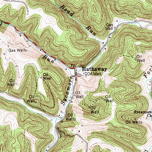 Topographic Map of Road Run, WV