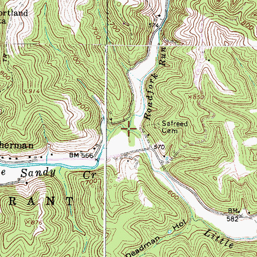 Topographic Map of Roadfork Run, WV