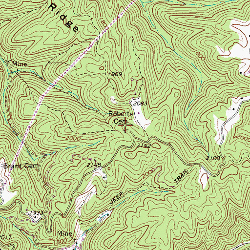 Topographic Map of Roberts Cemetery, WV